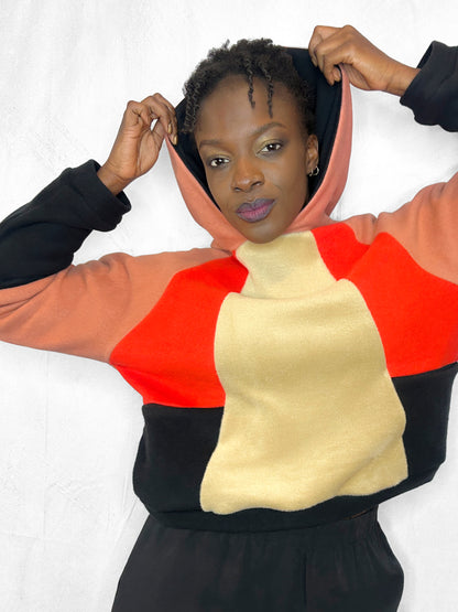 Cosy Cotton Fleece Hoodie Color Block I
