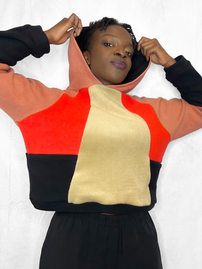 Cosy Cotton Fleece Hoodie Color Block I